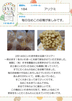 認定No.184 アリクミさん「毎日なめこの収穫が楽しみです。」