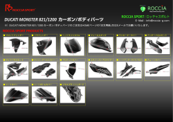 DUCATI MONSTER 821/1200 カーボン/ボディパーツ - Roccia