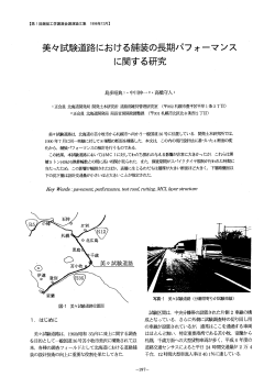 美々試験道路における舗装の長期パフォーマンス に関する研究