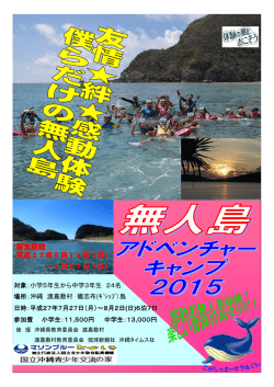 チラシ・申込書 - 国立沖縄青少年交流の家