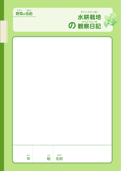 観察日記 水耕栽培