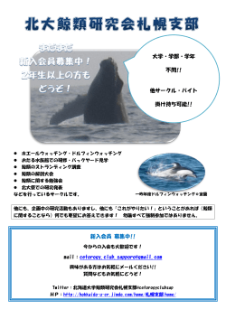 ダウンロード - 北海道大学鯨類研究会