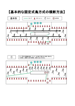 固定式島方式図
