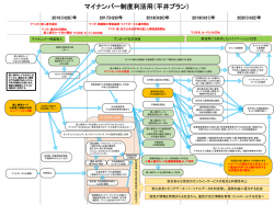 マイナンバー制度利活用 （平井フ゜ラン）