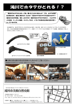 滝川でホタテがとれる！？