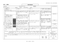 様式 1 - 自動車検査独立行政法人