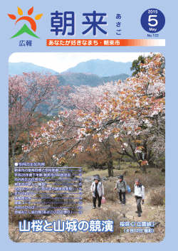 山桜と山城の競演