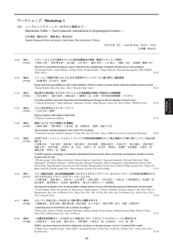 プログラムPDF