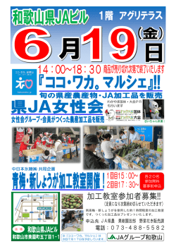 中日本氷糖   共同企画