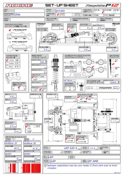 P12 manual_setup sheet