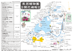 万葉 の みち