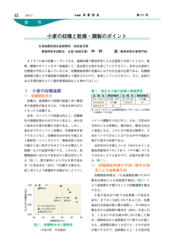小麦の収穫と乾燥・調製のポイント