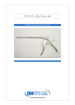 ｹﾘｿﾝﾛﾝｼﾞｭｰﾙ