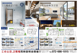 分譲広告（the CASA SERIES）_表