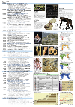 サル・人類史年表 （年代：前） 6500万年 生物の大量絶滅。恐竜絶滅