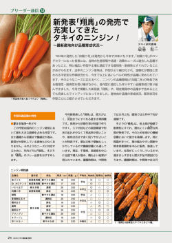 新発表「翔 」の発売で 充実してきた タキイのニンジン！