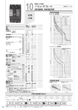 XE100NS, XM100CS 形