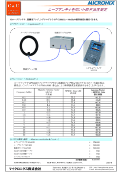ループアンテナを用いた磁界強度測定