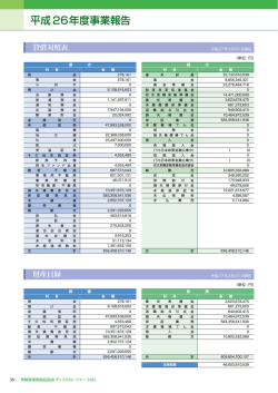 貸借対照表・財産目録(PDF:396KB)