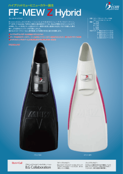 FF-MEW Z Hybrid