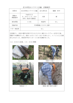 竹林整備とたけのこ掘り