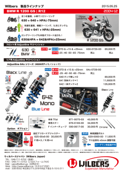 R1200GS空冷非ESA全年式（実写写真UP）