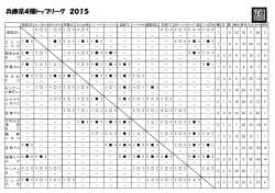 兵庫県4種トップリーグ 2015