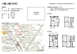 八尾二俣【4209】