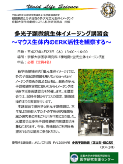 多光子顕微鏡生体イメージング講習会 ～マウス生