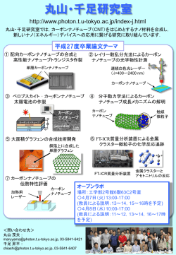 卒論テーマ紹介ポスター - Maruyama