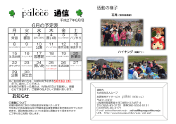palcco 通信