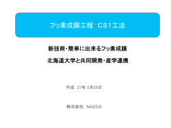 フッ素成膜工程 CS1工法