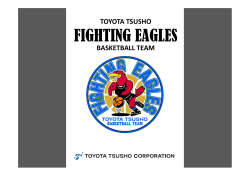FIGHTING EAGLES