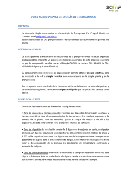 Informe t&eacute;cnico de la planta