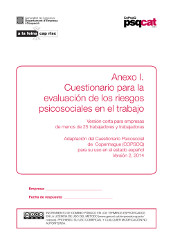 Anexo I. Cuestionario para la evaluación de los riesgos