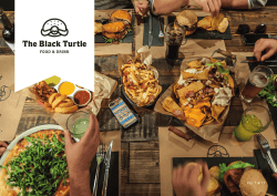 Dossier en PDF - The Black Turtle