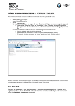 GU&Iacute;A DE USUARIO PARA INGRESAR AL PORTAL DE CONSULTA.