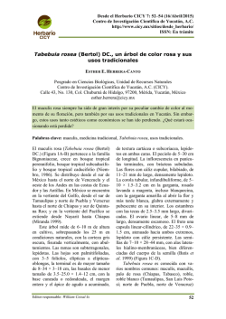 documento