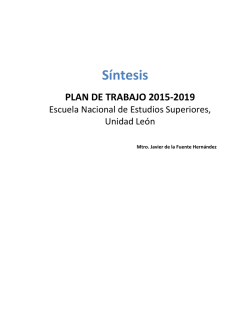 Síntesis del plan de trabajo