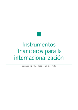 Instrumentos financieros para la internacionalizaci&oacute;n