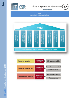 FICHA TPM Mantenimiento Productivo Total[...]
