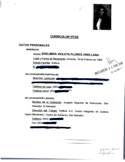 EDELMIRA VIOLETA FLORES ORELLANA