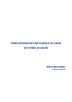 gu&iacute;a de planillaje