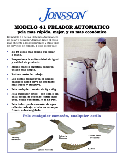Forme No. 89s Model 41 Spanish_Model 41 Brochure