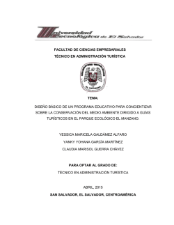 dise&ntilde;o b&aacute;sico de un programa educativo para co