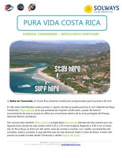 PROGRAMA PURA VIDA COSTA RICA