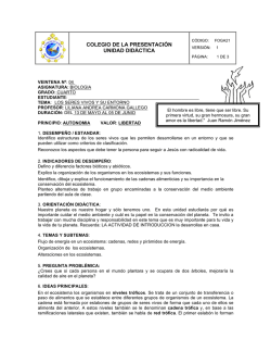 Grado Cuarto - Colegio La Presentaci&oacute;n : Pitalito, Huila