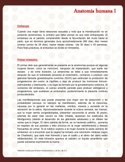 Anatom&iacute;a humana I