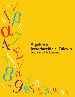 Álgebra e Introducción al Cálculo - Pontificia Universidad Católica