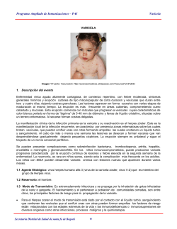 Programa Ampliado de Inmunizaciones – PAI Varicela